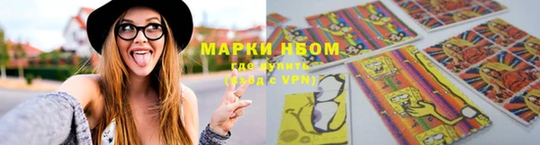 ГАЛЛЮЦИНОГЕННЫЕ ГРИБЫ Балахна