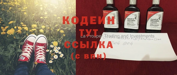 ГАЛЛЮЦИНОГЕННЫЕ ГРИБЫ Балахна