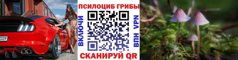 цена наркотик  Теберда  Галлюциногенные грибы Psilocybine cubensis 