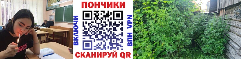 Конопля AK-47 Теберда